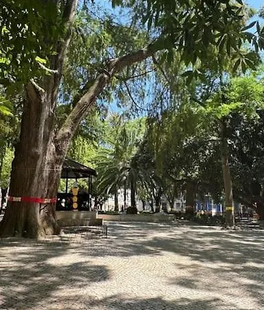 4 Cantos דירה *